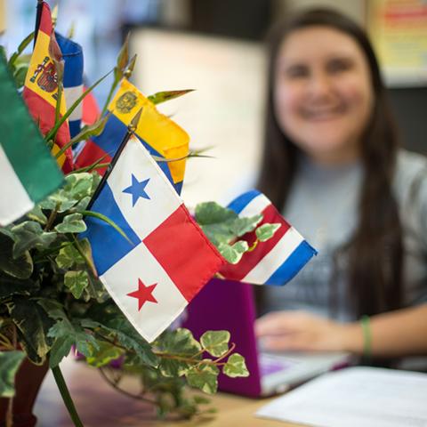 Flags in the Latino Community Resource Center